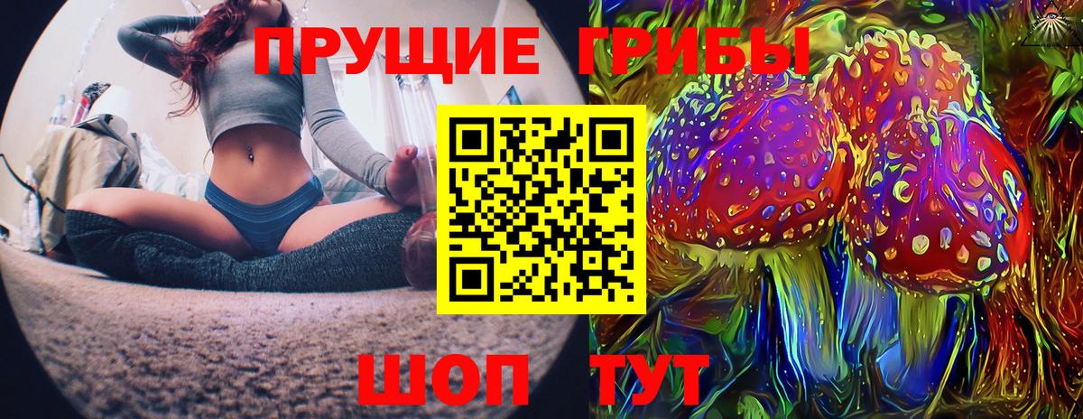 Галлюциногенные грибы Cubensis Сатка
