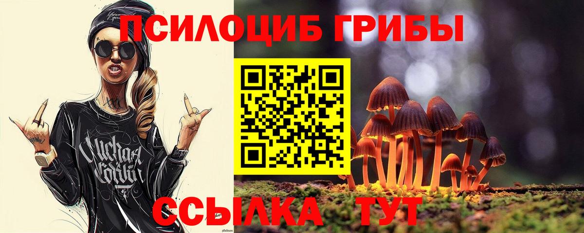 Псилоцибиновые грибы Psilocybine cubensis  Псилоцибиновые грибы Psilocybine cubensis  Сатка  где купить наркоту  Вход с VPN 
