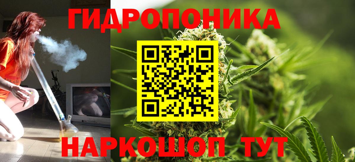 Бошки марихуана сатива  Бошки марихуана семена  Сатка  Конопля Ganja  Вход с VPN 